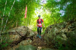 BIB: 
                            <button type="button" onclick="openModal(22087725)" class="btn btn-primary btn-sm float-right btn-popup" data-toggle="modal" data-target=".modal-high-quality">
                        <i class="fas fa-shopping-cart"></i> Add to Cart
                    </button>
                                            <button type="button" onclick="isThisMe(22087725, true)" class="btn btn-success btn-sm float-right btn-popup btn-isme hidden" data-toggle="tooltip" data-placement="bottom" title="นี่คือรูปของคุณใช่ไหม คลิกที่นี่เพื่อเอาเข้าอัลบั้ม">
                        <i class="fas fa-plus"></i> Add to album
                    </button>
                    <button type="button" onclick="isThisMe(22087725, false)" class="btn btn-warning btn-sm float-right btn-popup btn-isnotme hidden">
                        <i class="fas fa-ban"></i> Remove from album
                    </button>